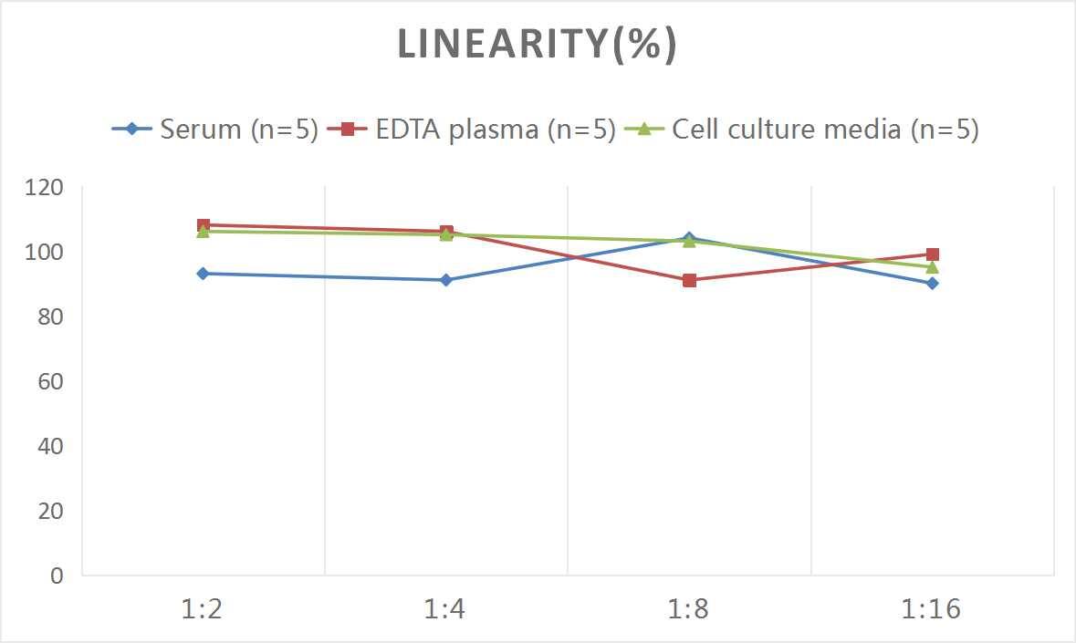 Human CXCL14/BRAK ELISA Kit (Chemiluminescence)