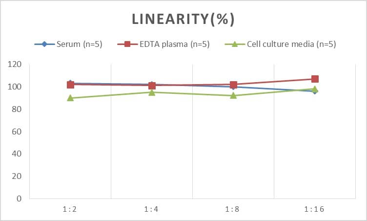 Human BRCA2 ELISA Kit (Chemiluminescence)