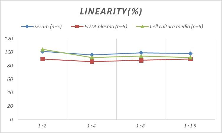 Mouse IBSP/Sialoprotein II ELISA Kit (Colorimetric)