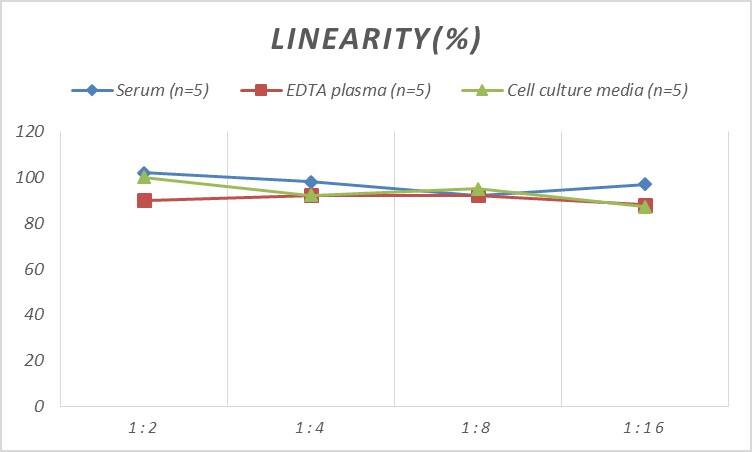 Rat IBSP/Sialoprotein II ELISA Kit (Colorimetric)