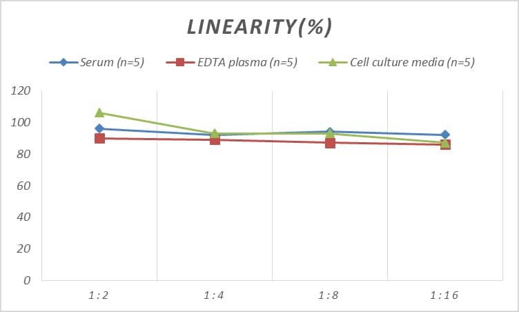 Rat Betacellulin/BTC ELISA Kit (Colorimetric)