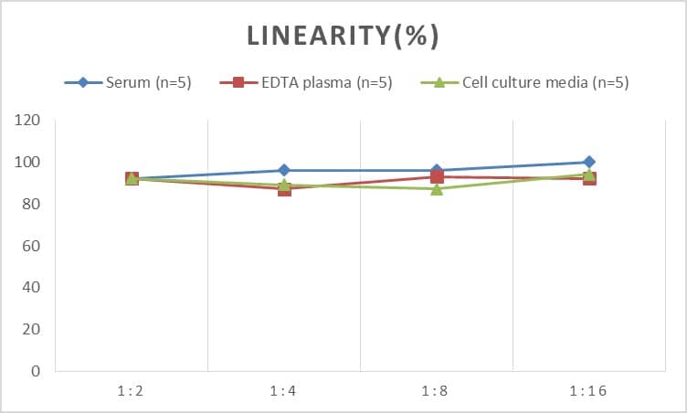 Human CEBP alpha ELISA Kit (Colorimetric)