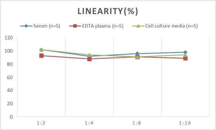 Human CEBP Beta ELISA Kit (Colorimetric)