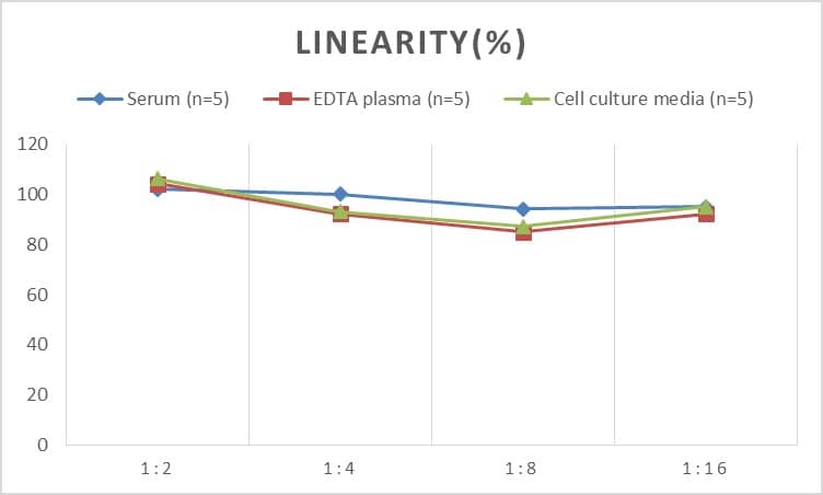 Human CEBP Delta ELISA Kit (Colorimetric)