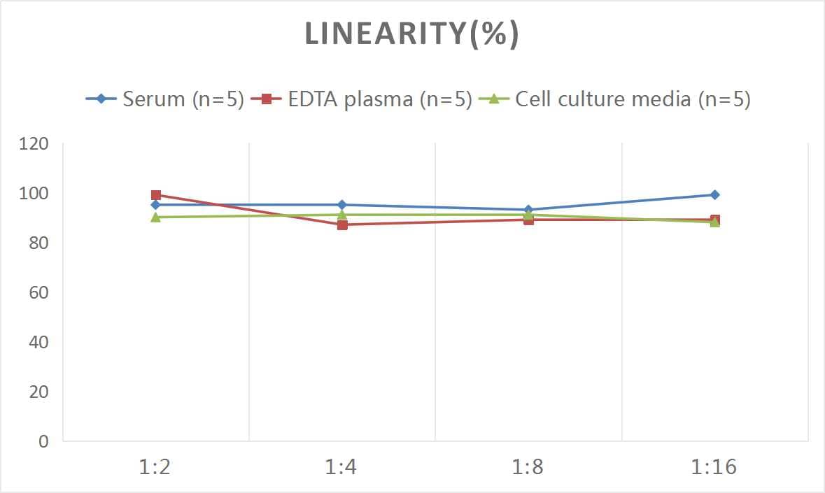 Mouse Serpin G1/C1 Inhibitor ELISA Kit (Colorimetric)