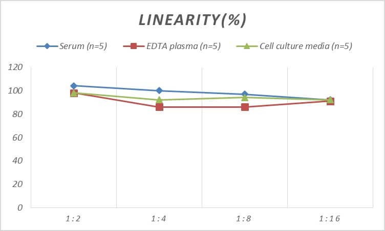 Rat C1qR1/CD93 ELISA Kit (Colorimetric)