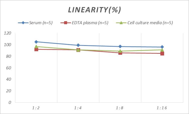 Rat Complement Component C2 ELISA Kit (Colorimetric)