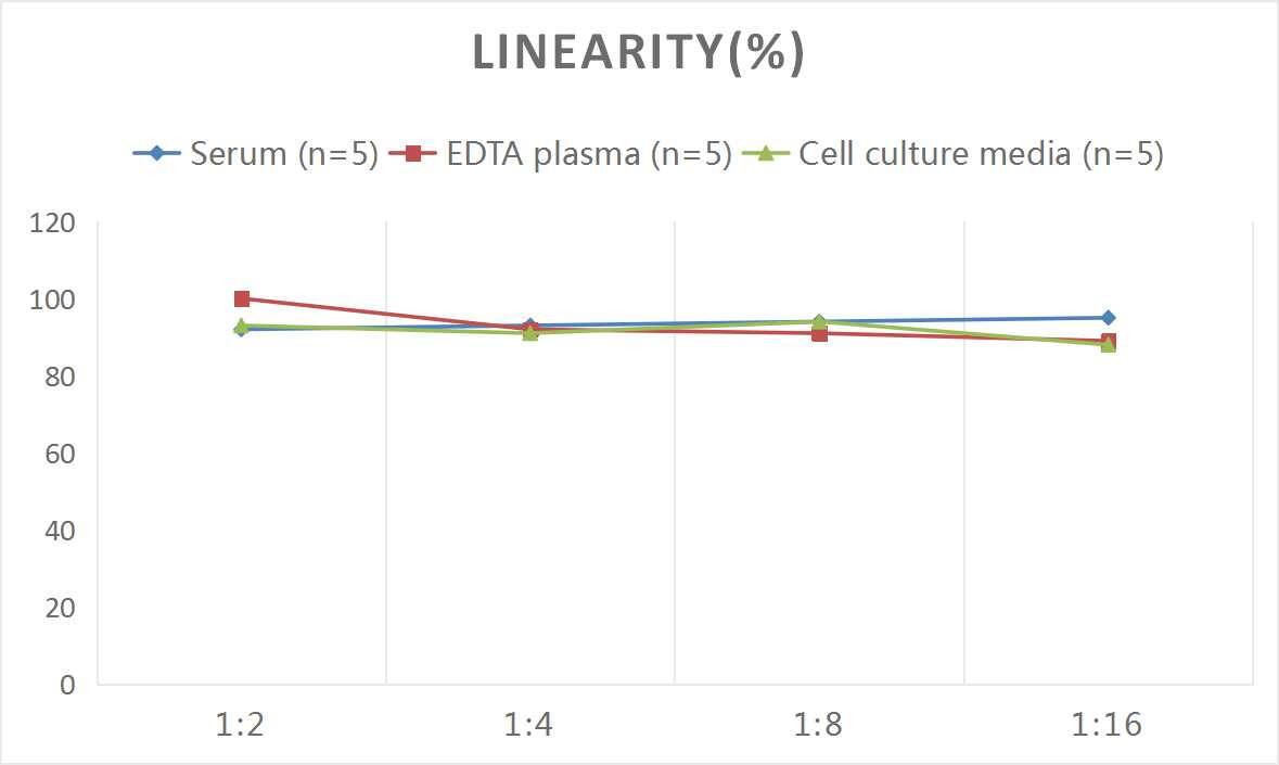 Rat Complement C3a ELISA Kit (Colorimetric)