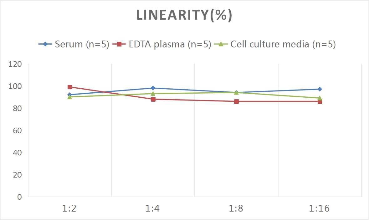 Rat Complement C4 ELISA Kit (Colorimetric)