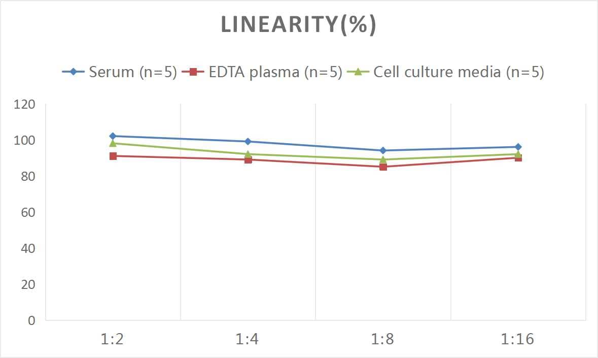 Mouse Complement C4a ELISA Kit (Colorimetric)