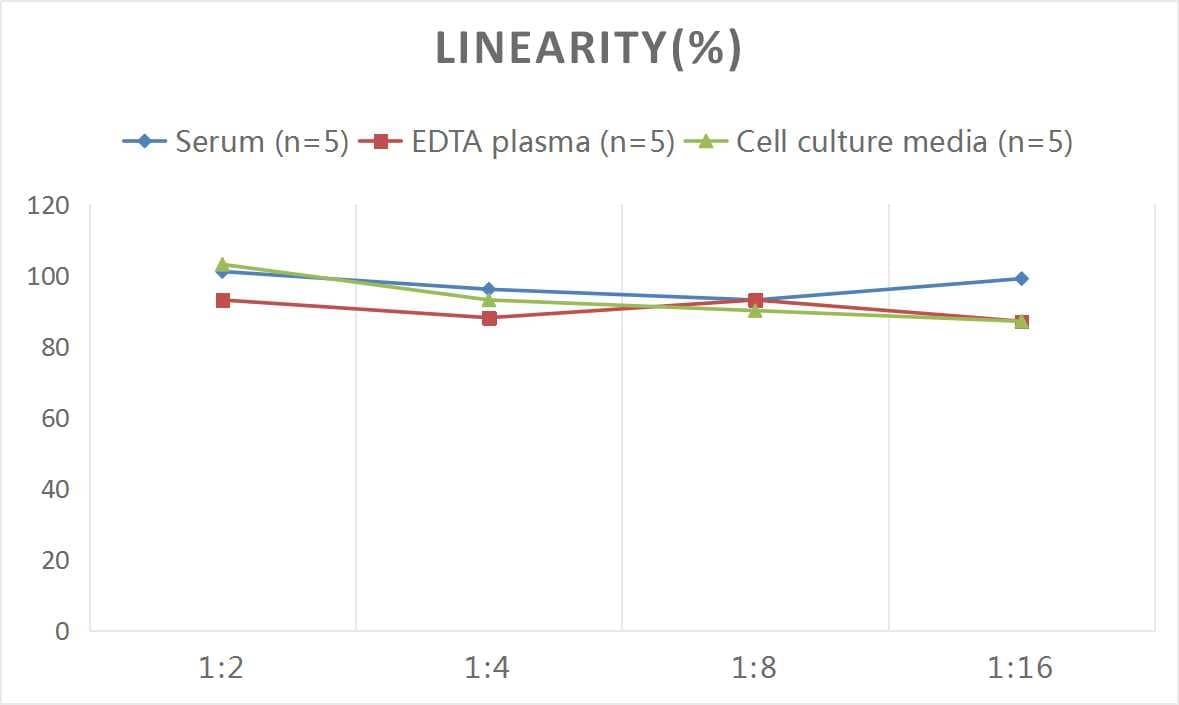 Mouse Complement C5 ELISA Kit (Colorimetric)