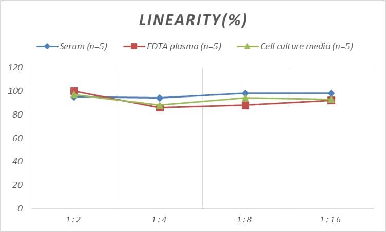 Rat Carbonic Anhydrase I/CA1 ELISA Kit (Colorimetric)