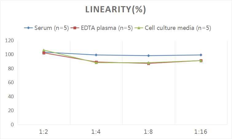 Human Carbonic Anhydrase XII/CA12 ELISA Kit (Colorimetric)