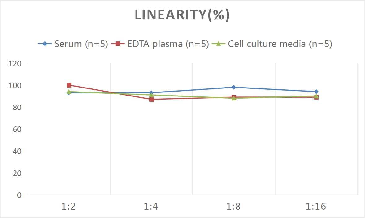 Mouse Carbonic Anhydrase II/CA2 ELISA Kit (Colorimetric)