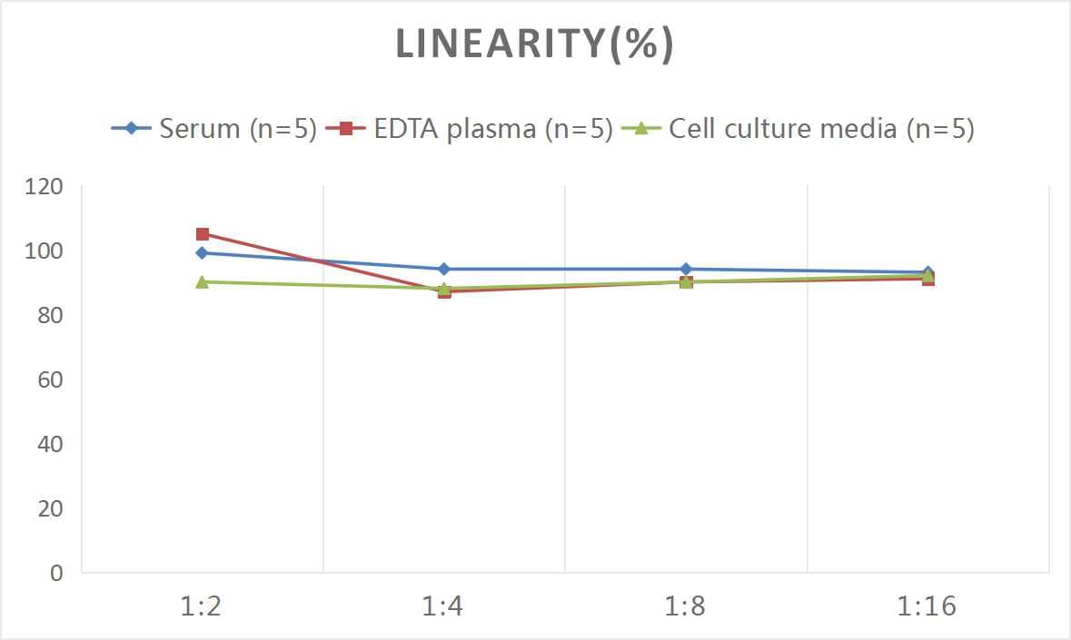 Rat Carbonic Anhydrase II/CA2 ELISA Kit (Colorimetric)