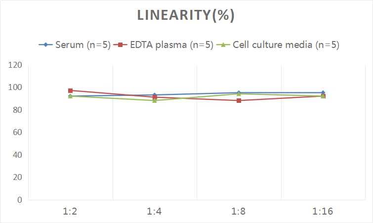 Human Carbonic Anhydrase III/CA3 ELISA Kit (Colorimetric)