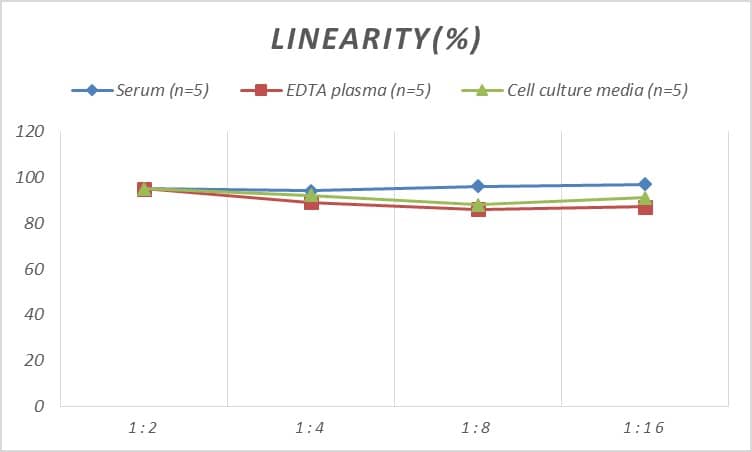 Human Carbonic Anhydrase VB/CA5B ELISA Kit (Colorimetric)