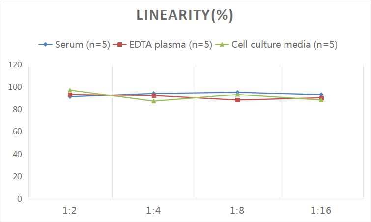 Human Carbonic Anhydrase VI ELISA Kit (Colorimetric)