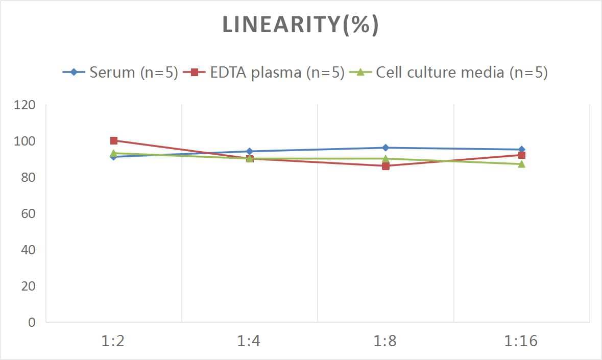 Mouse Carbonic Anhydrase IX/CA9 ELISA Kit (Colorimetric)