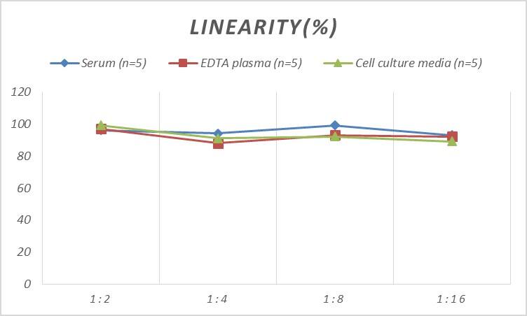 Rat Carbonic Anhydrase IX/CA9 ELISA Kit (Colorimetric)