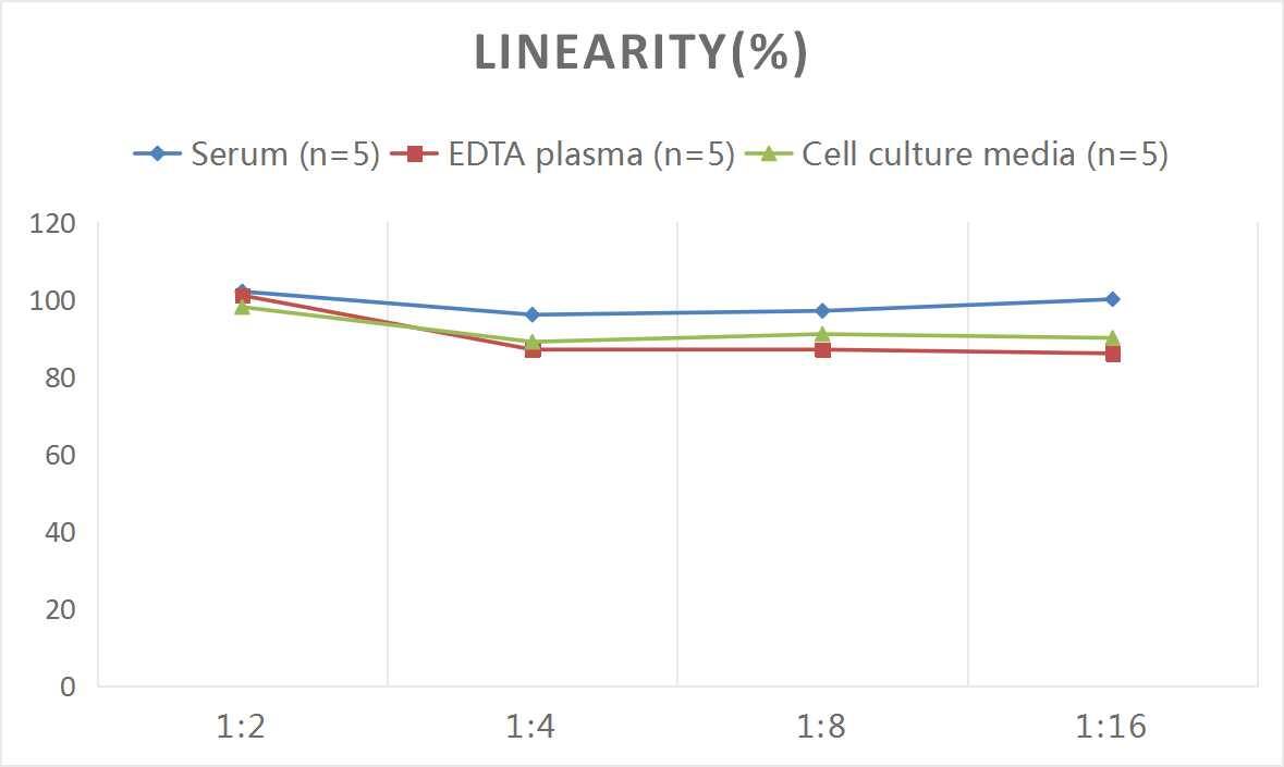 Rat SLC25A20 ELISA Kit (Colorimetric)