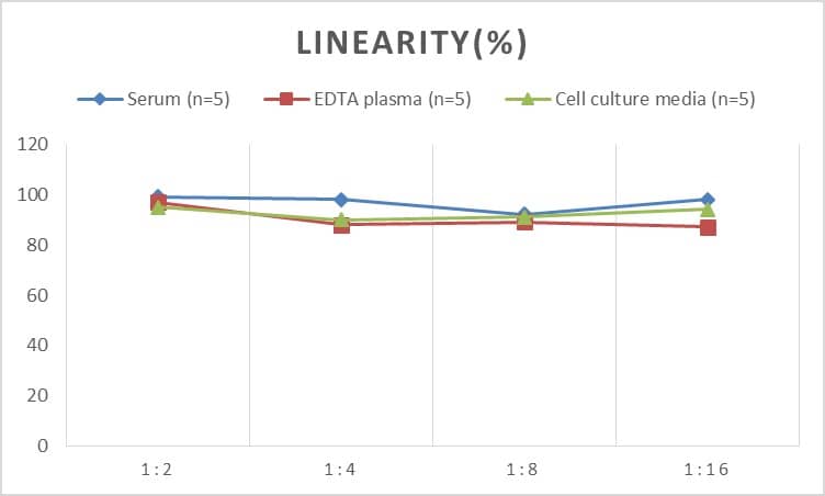 Human CACYBP ELISA Kit (Colorimetric)