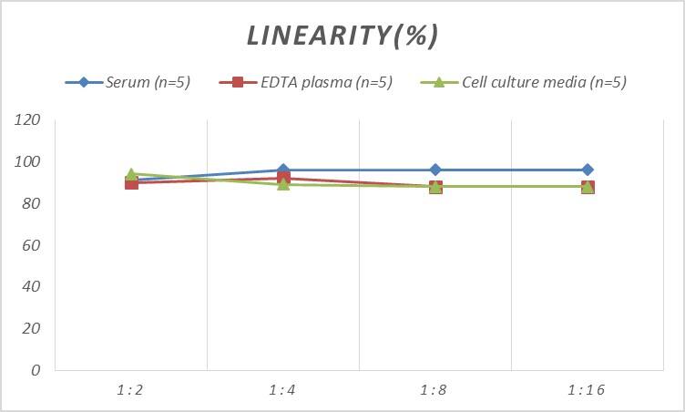 Mouse CACYBP ELISA Kit (Colorimetric)