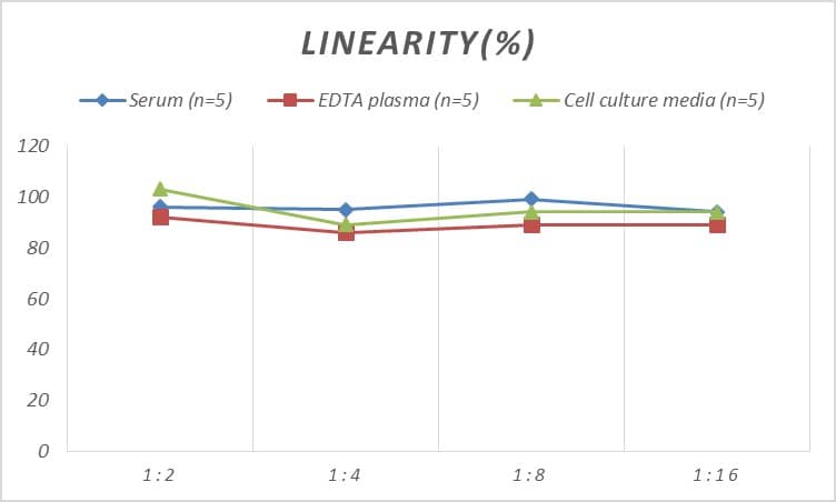 Human DFF40/CAD ELISA Kit (Colorimetric)