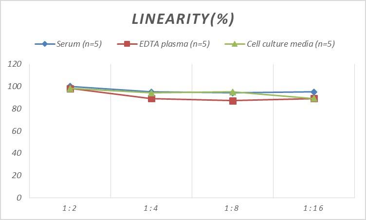 Mouse DFF40/CAD ELISA Kit (Colorimetric)