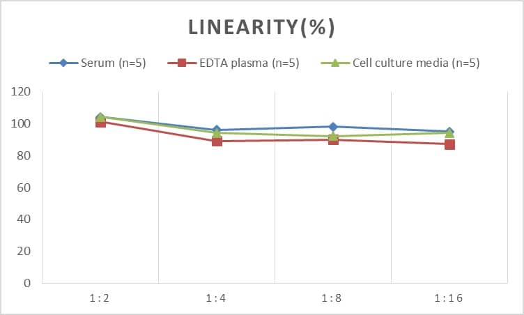 Rat CD38 ELISA Kit (Colorimetric)