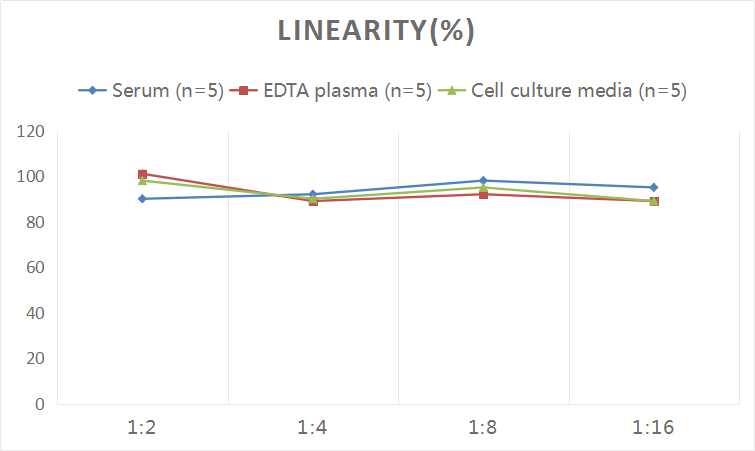 Human Caldesmon/CALD1 ELISA Kit (Colorimetric)