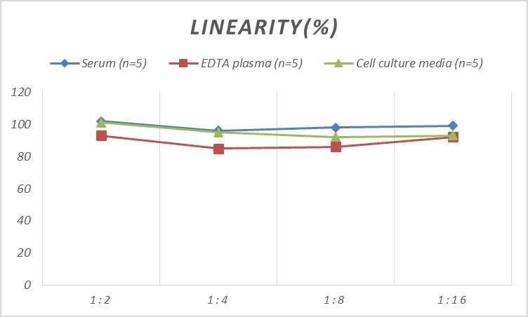 Rat Caldesmon/CALD1 ELISA Kit (Colorimetric)