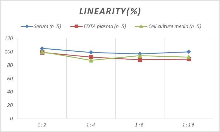 Rat Calumenin ELISA Kit (Colorimetric)