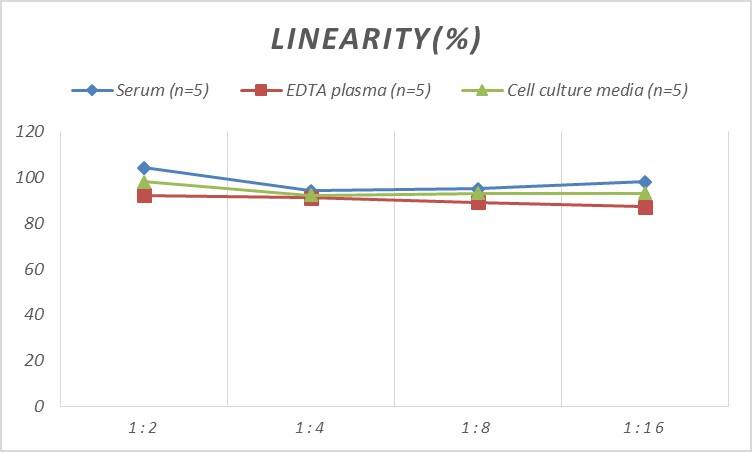 Human CaMKIIN2 ELISA Kit (Colorimetric)