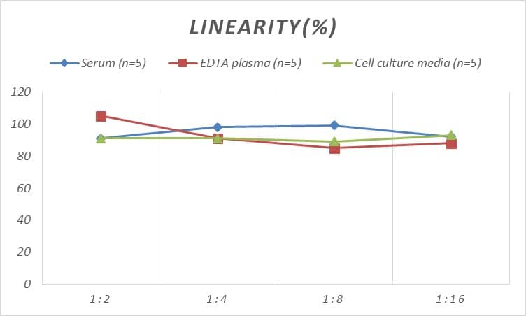 Rat Calpain 1 ELISA Kit (Colorimetric)