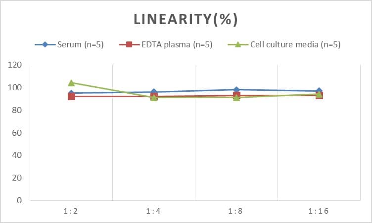 Rat Calpain 2 ELISA Kit (Colorimetric)