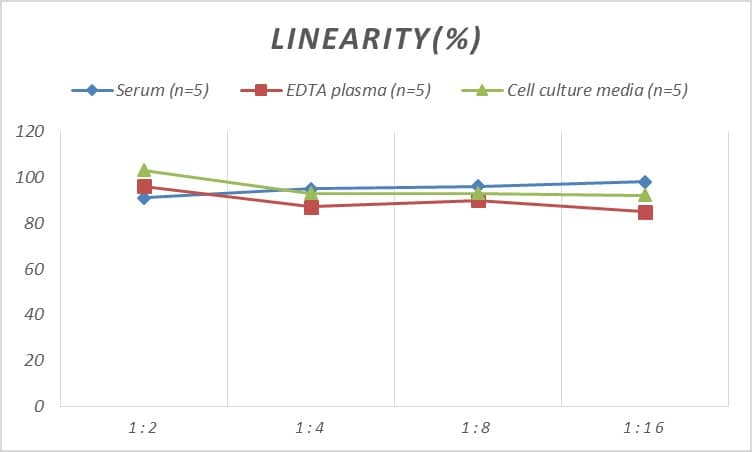 Rat CXCL13/BLC/BCA-1 ELISA Kit (Colorimetric)