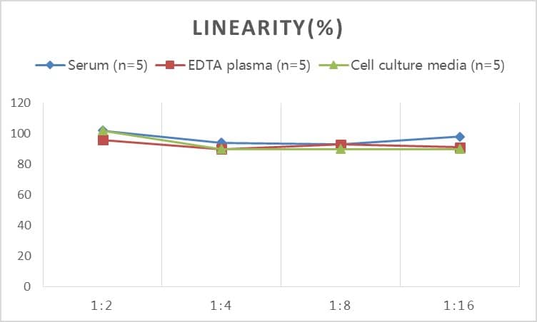 Rat C1q ELISA Kit (Colorimetric)