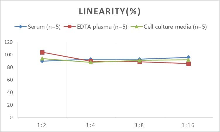 Rat MUC1 ELISA Kit (Colorimetric)