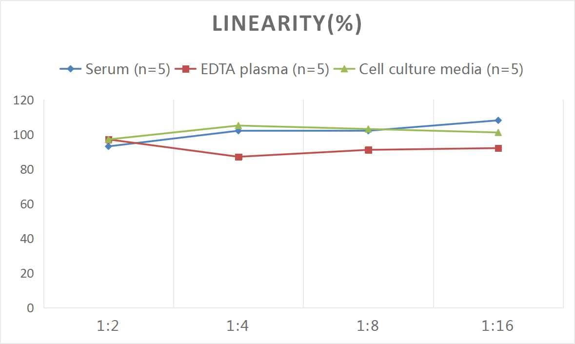 Rat IgE ELISA Kit (Colorimetric)