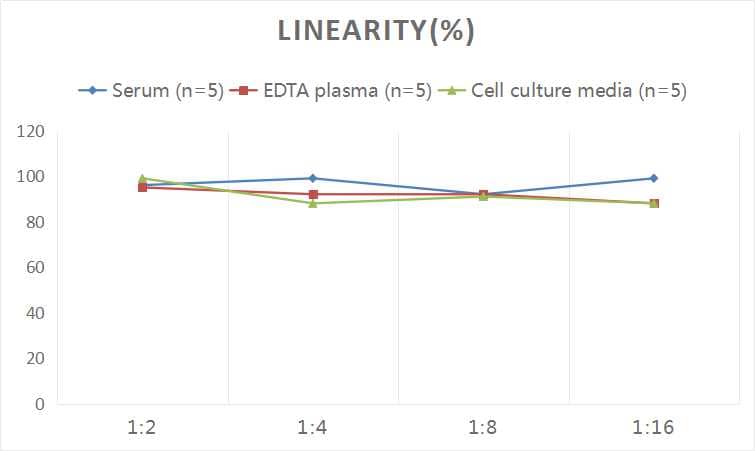 Human CTGF/CCN2 ELISA Kit (Colorimetric)