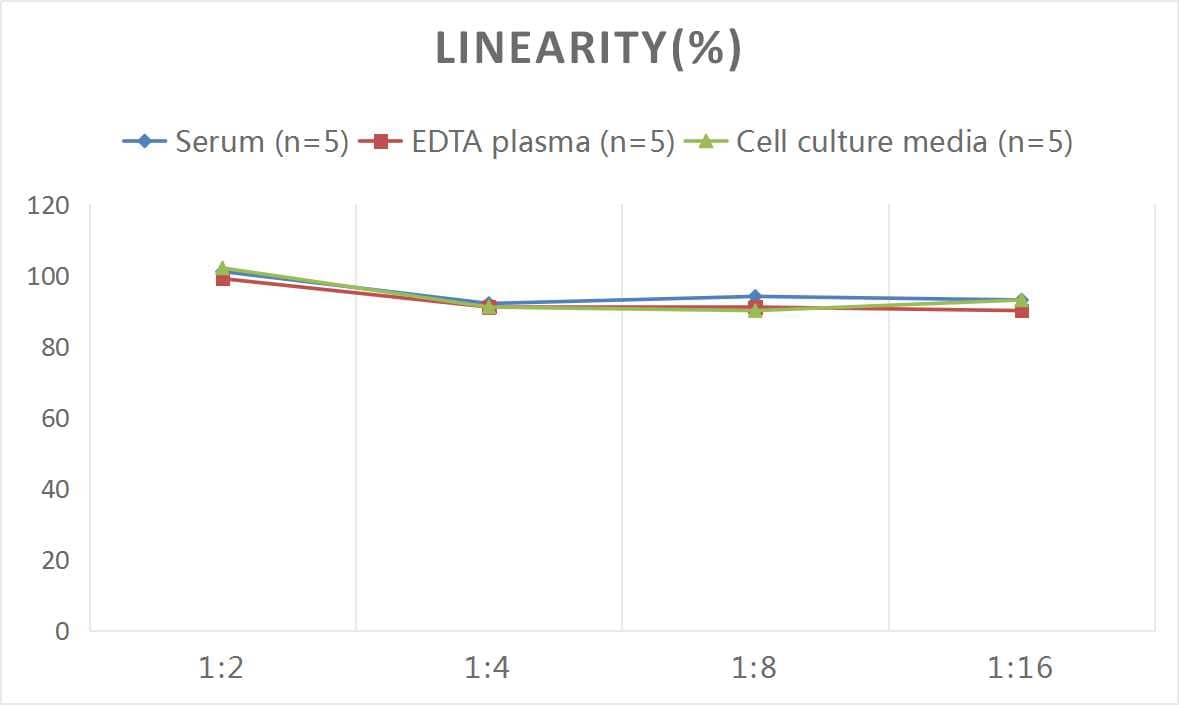 Mouse CTGF/CCN2 ELISA Kit (Colorimetric)