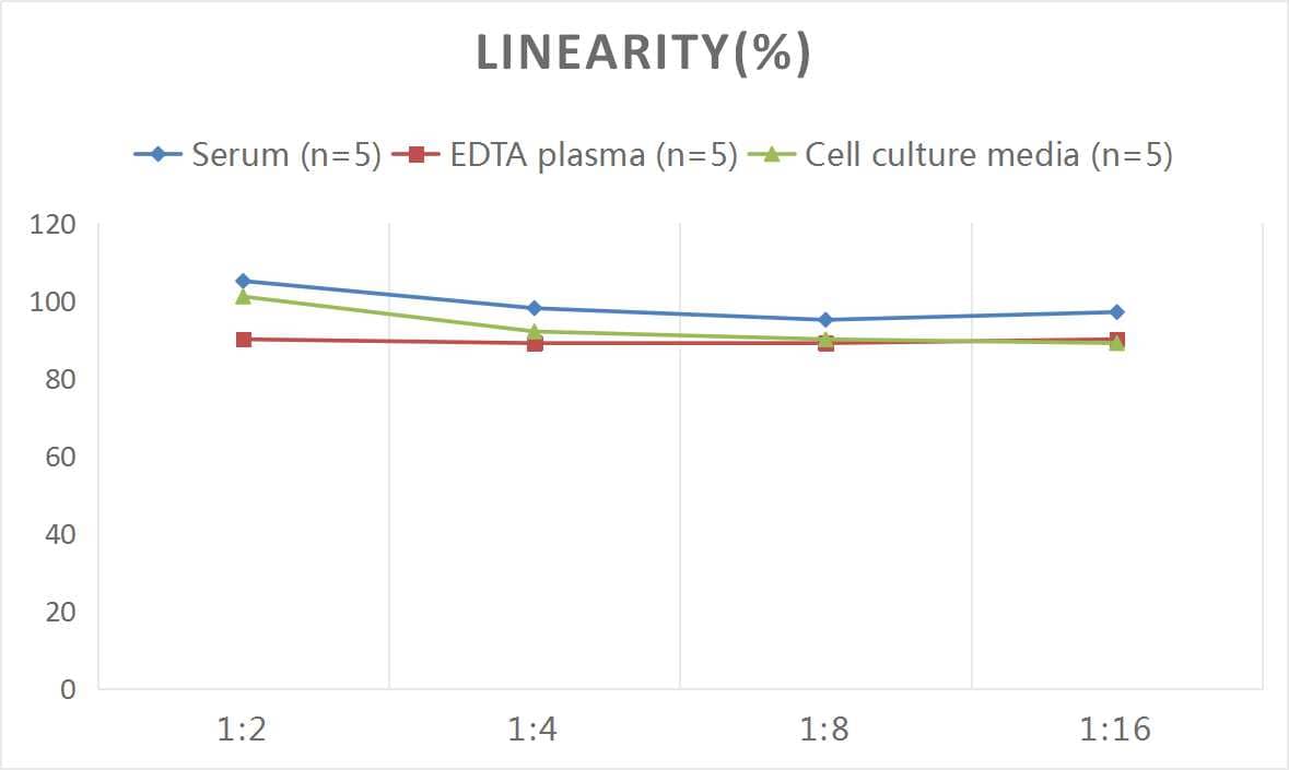 Rat CTGF/CCN2 ELISA Kit (Colorimetric)