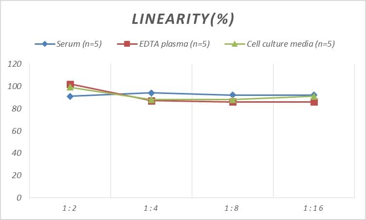 Human Calcyphosine ELISA Kit (Colorimetric)