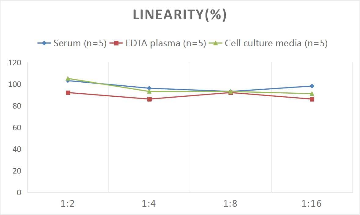 Rat Caspase-1 ELISA Kit (Colorimetric)