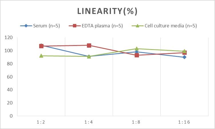 Mouse Caspase-10/FLICE2 ELISA Kit (Chemiluminescence)