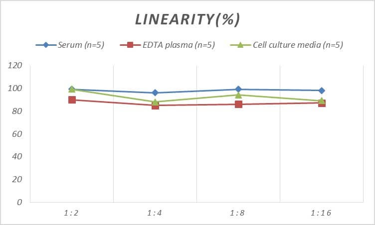 Human Caspase-10/FLICE2 ELISA Kit (Colorimetric)