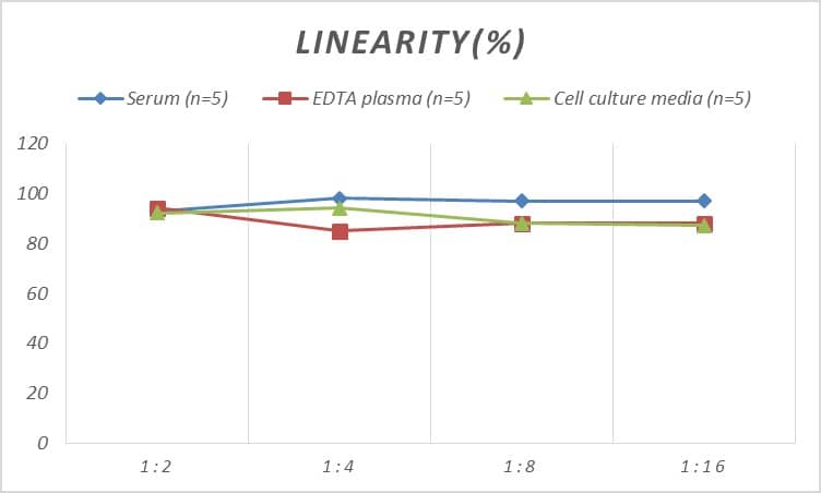 Rat Caspase-10/FLICE2 ELISA Kit (Colorimetric)