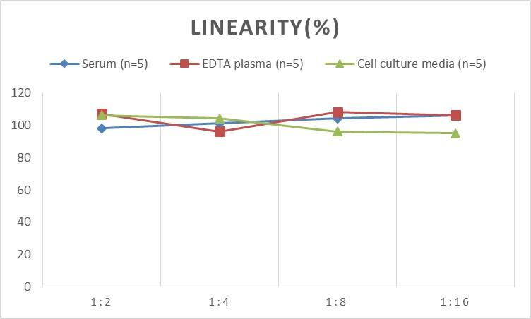 Mouse Caspase-11 ELISA Kit (Chemiluminescence)