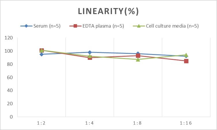 Rat Caspase-12 ELISA Kit (Colorimetric)